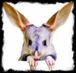 Bilby's Avatar