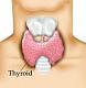 This is a group for patients that are battling thyroid diseases, including but not limited to:<br /> 
-Hashimoto's Thyroiditis<br /> 
-Graves Disease<br /> 
-Hyperthyroid/ Over Active...